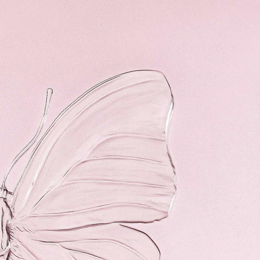 The Art Pieces | Lalique Eternal Love, Damien Hirst & Lalique, 2015 Pink Crystal