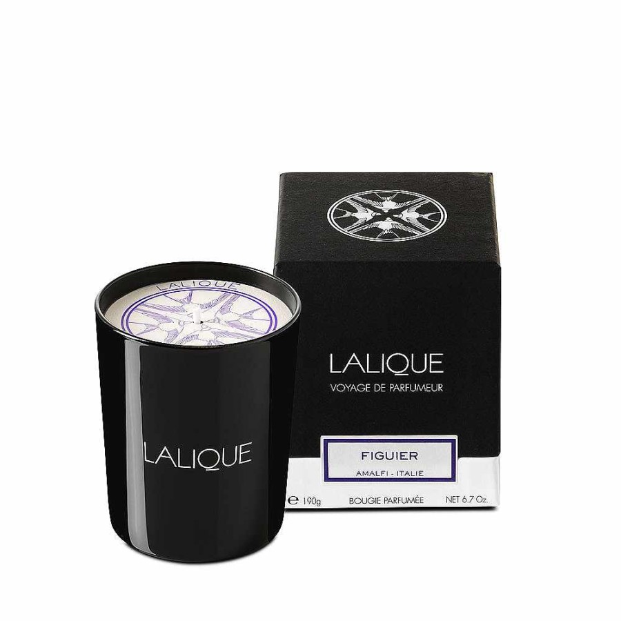 Candles | Lalique Fig Tree, Amalfi - Italy, Scented Candle