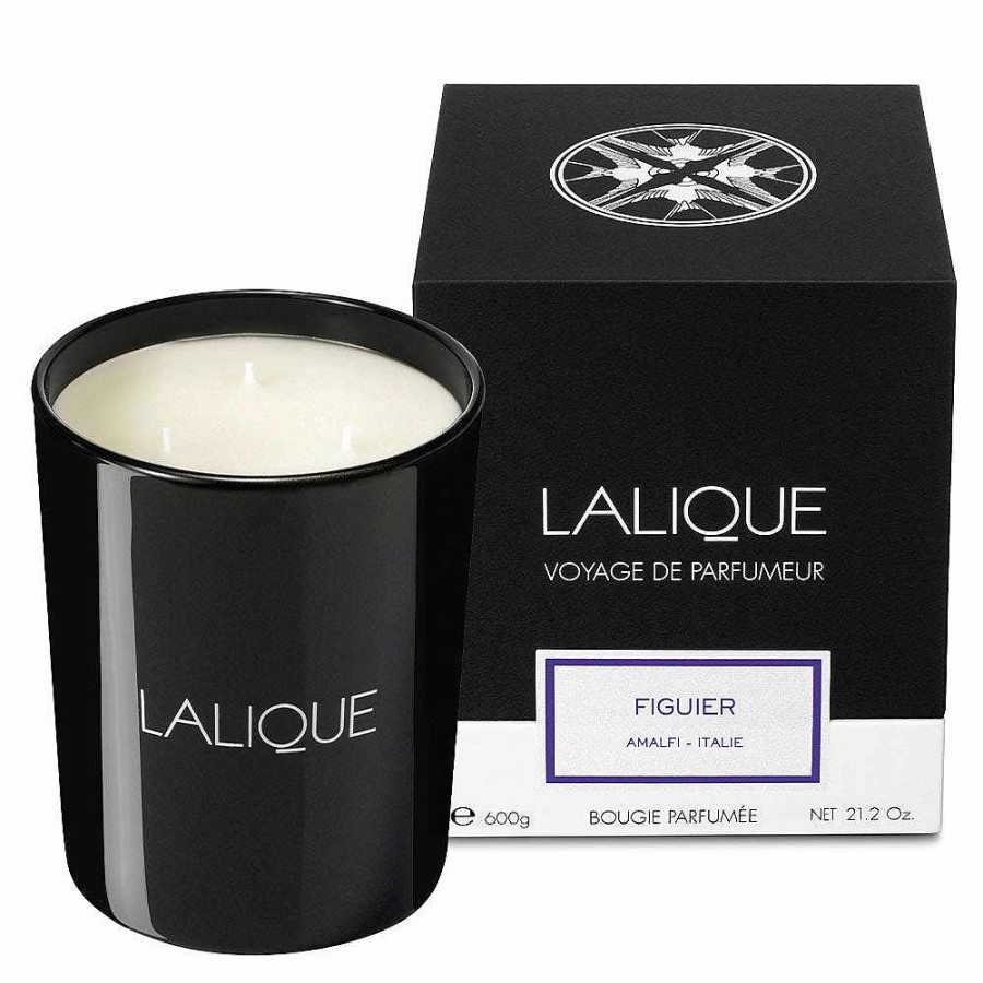 Candles | Lalique Fig Tree, Amalfi - Italy, Scented Candle, 600G