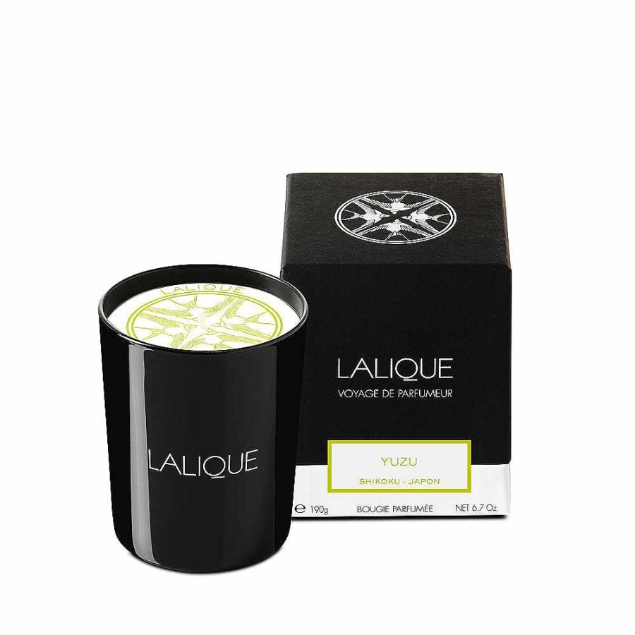 Candles | Lalique Yuzu, Shikoku - Japan, Scented Candle