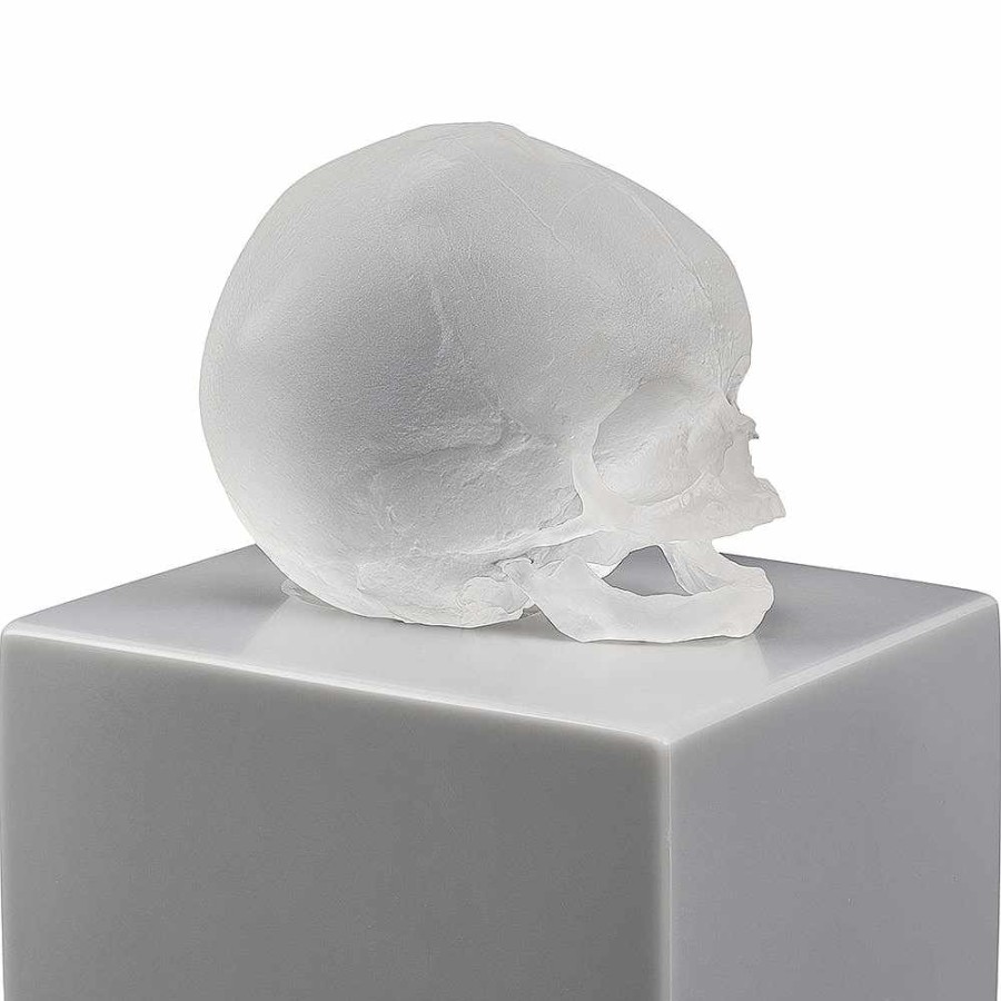 The Art Pieces | Lalique Eternal Memory, Damien Hirst & Lalique, 2017 Satin Clear Crystal/ Lost Wax Technique