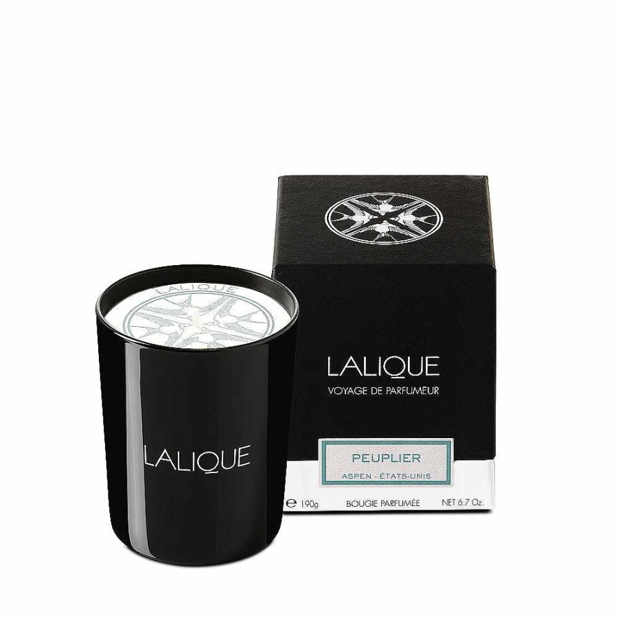 Candles | Lalique Poplar, Aspen - United States, Scented Candle