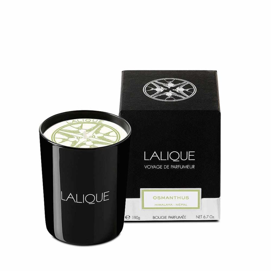 Candles | Lalique Osmanthus, Himalaya - Nepal, Scented Candle